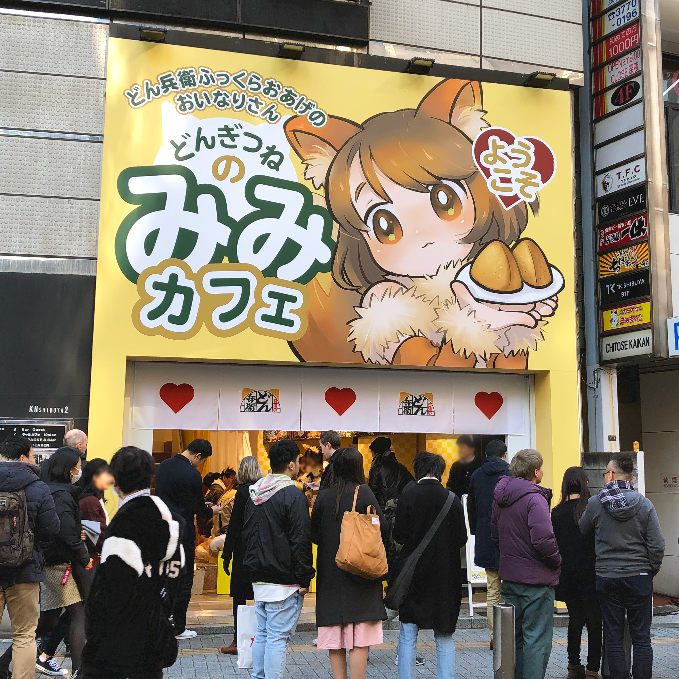 実績詳細 どんぎつねのみみカフェ N Spaceエヌスペース 渋谷 ポップアップストア